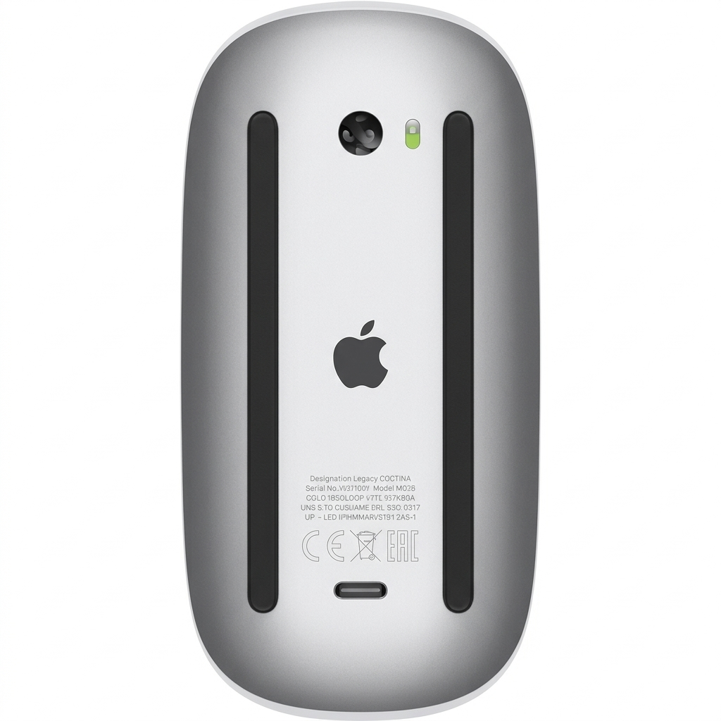 Magic Mouse USB-C