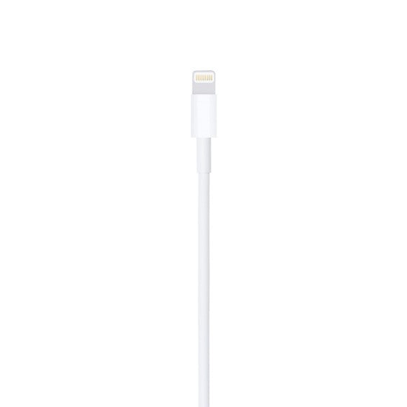 Lightning to USB Cable (1 m)