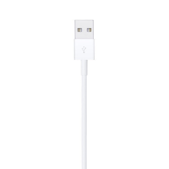 Lightning to USB Cable (1 m)